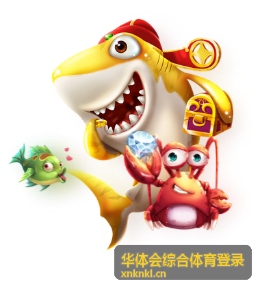 华体会综合体育登录 账号验证与设备核对示意
